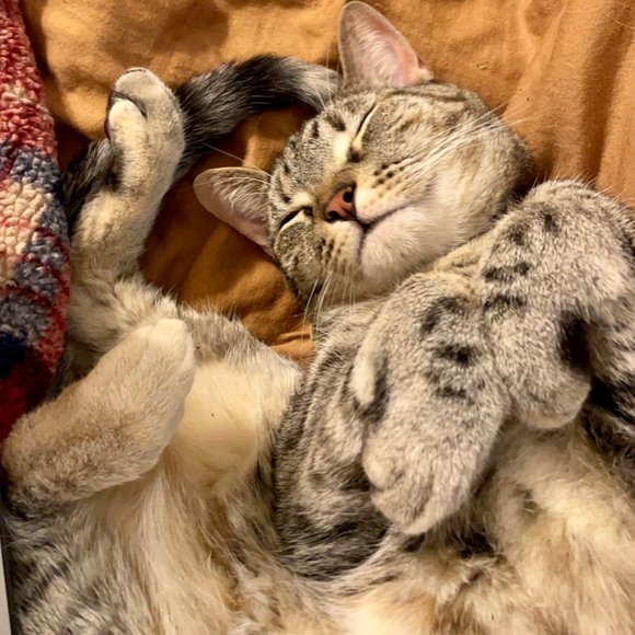 Meet your Posher, Khanh - Picture 2 of 3